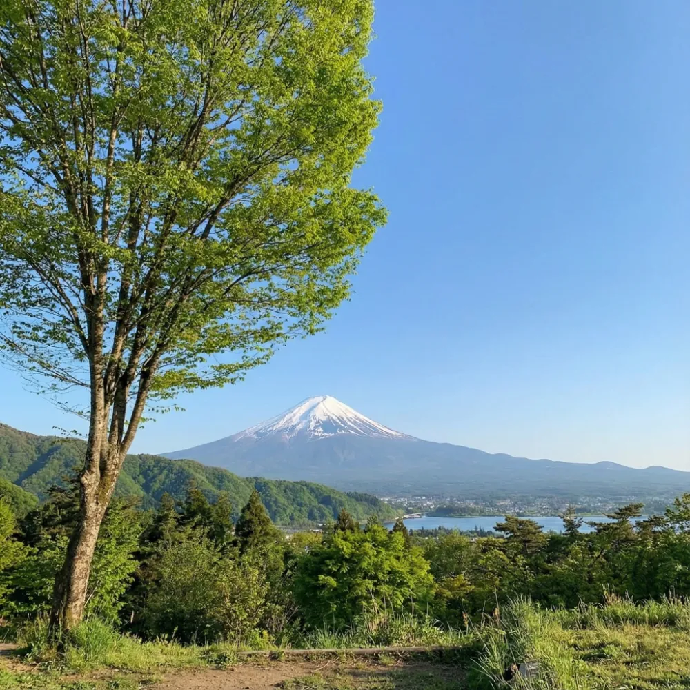 リトリートキャンプまほろば