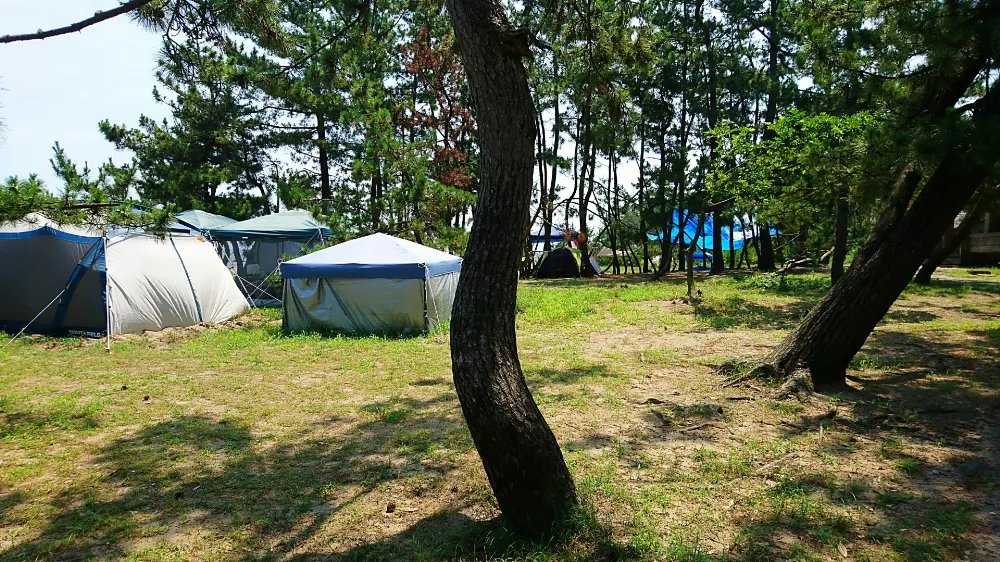 雨晴キャンプ場