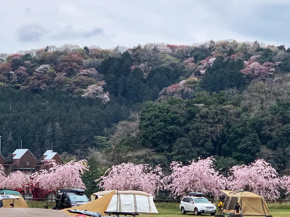 城里町総合野外活動センターふれあいの里