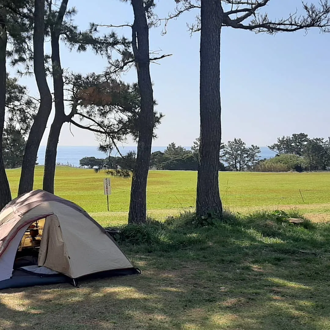 潮岬望楼の芝キャンプ場の写真