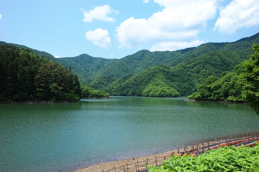 二子島森林公園キャンプ場