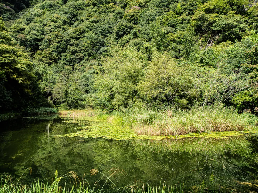 南アルプス邑野鳥公園(キャンプ場)