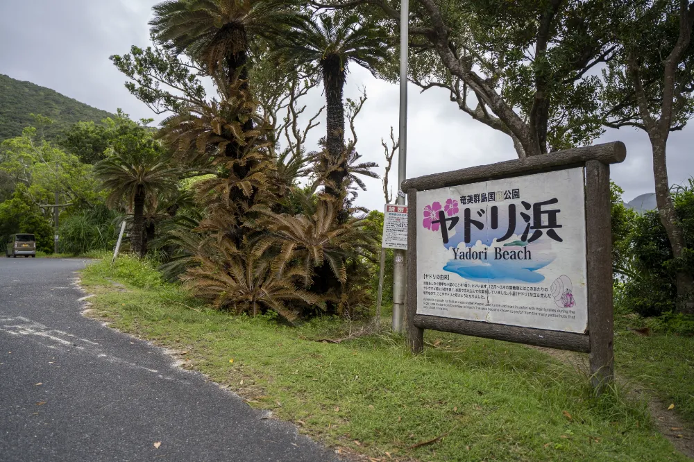 ヤドリ浜キャンプ場