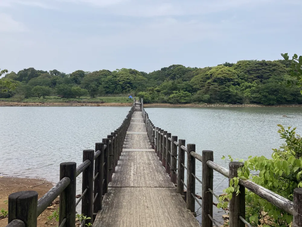 白岳自然公園キャンプ場