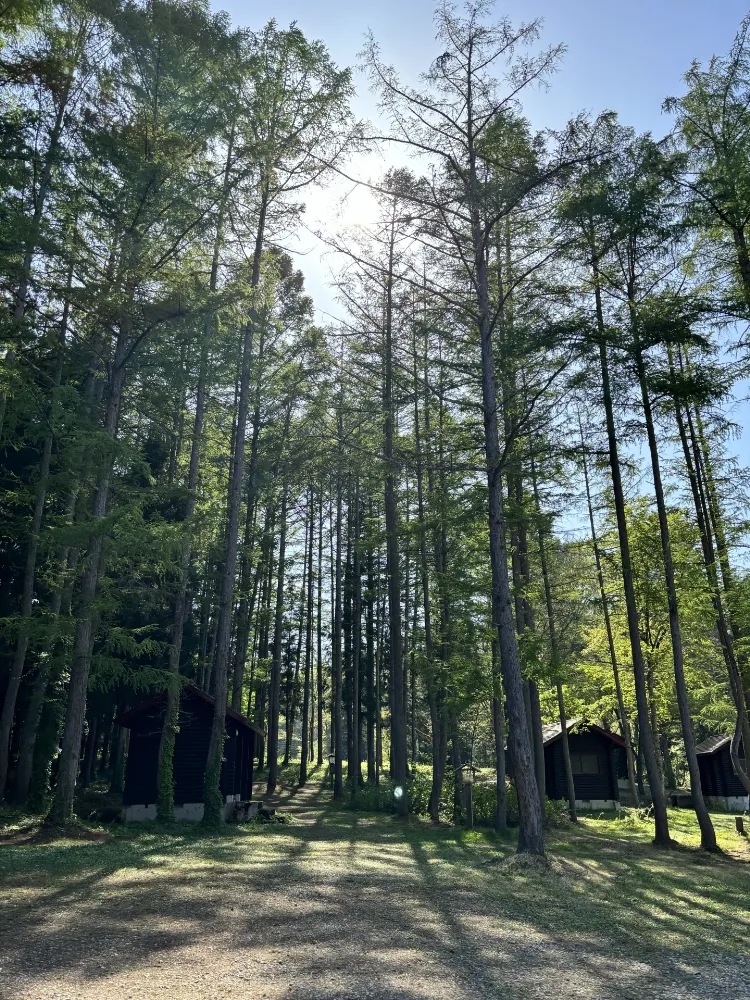 うさぎの森オートキャンプ場・山荘ななみね