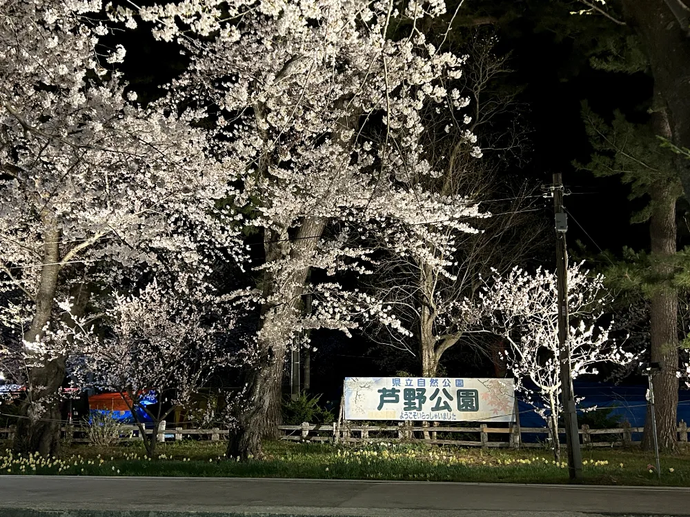 芦野公園オートキャンプ場
