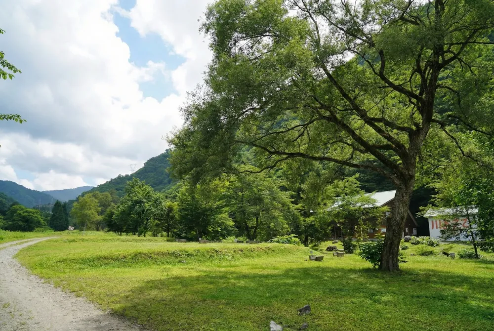 なかんじょ川つり公園キャンプ場