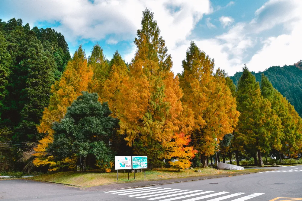 板取川温泉オートキャンプ場